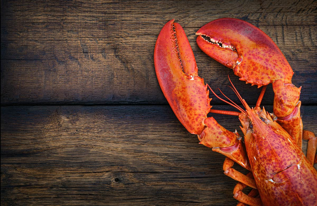 where to buy live lobster in boston