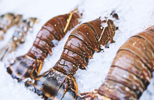 Frozen Lobster Meat